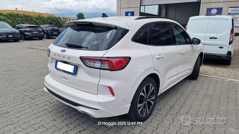 Usata Ford Kuga ST-Line X 190 CV (139 kW) 2020 Bianco SUV