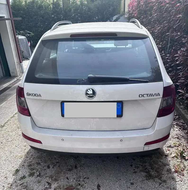 Usata Skoda Octavia Exclusive 90 CV (66 kW) 2013 Station wagon