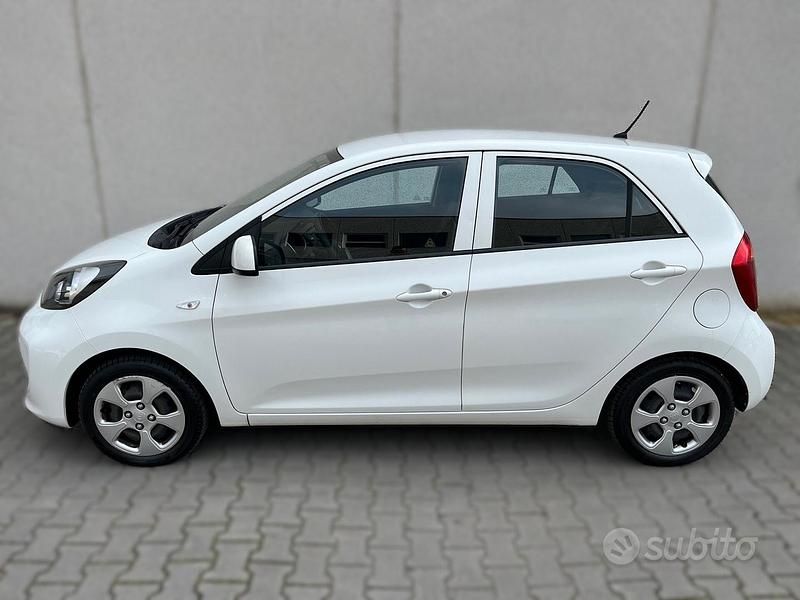 Usata Kia Picanto 67 CV (49 kW) 2016 Bianco Utilitaria