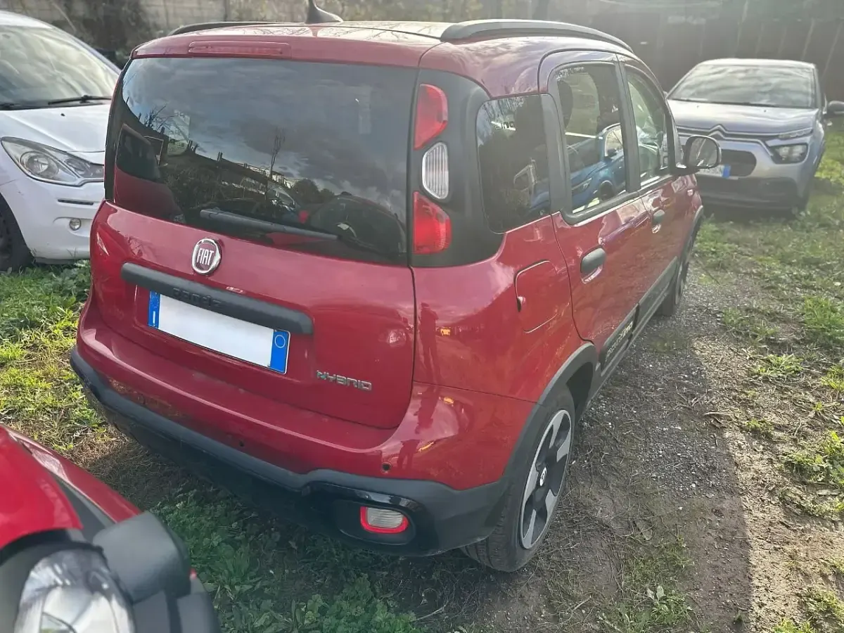 Usata Fiat Panda Cross Cross 70 CV (51 kW) 2025 Rosso passione Utilitaria