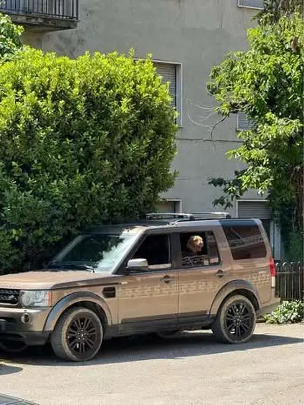 Usata Land Rover Discovery HSE 245 CV (180 kW) 2010 SUV