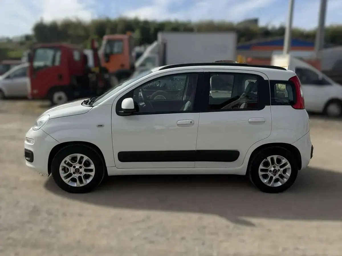 Usata Fiat Panda Connect 69 CV (50 kW) 2019 Bianco Utilitaria