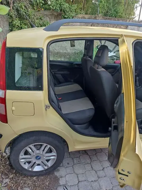 Usata Fiat Panda Dynamic 60 CV (44 kW) 2009 Utilitaria