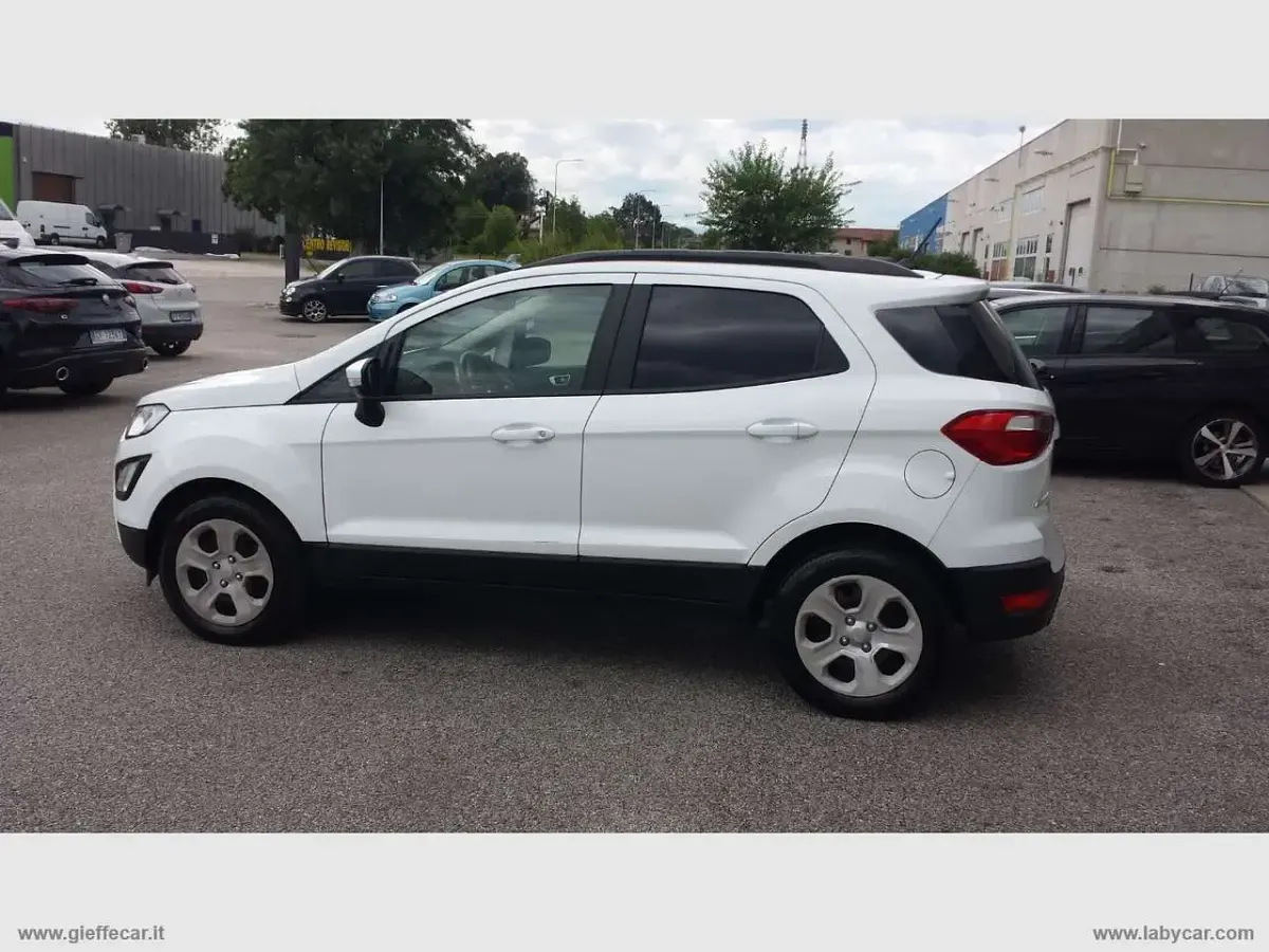 Usata Ford Ecosport 99 CV (72 kW) 2019 Bianco SUV