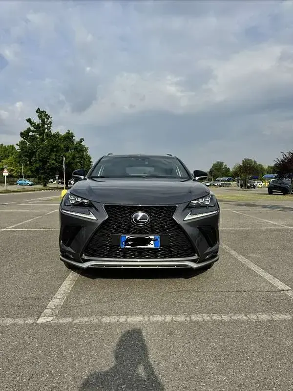 Usata Lexus NX300h Sport Line 197 CV (144 kW) 2018 SUV