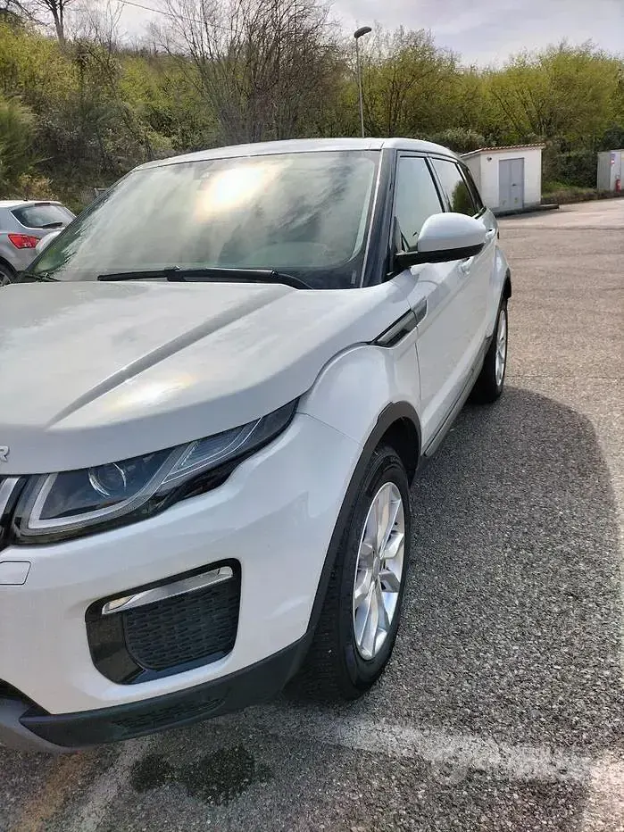 Usata Land Rover Range Rover evoque 150 CV (110 kW) 2018 Bianco SUV