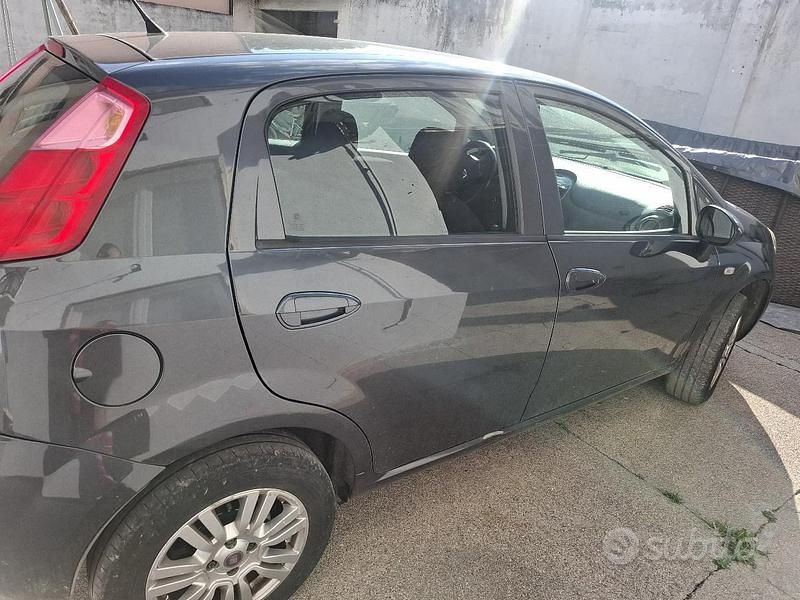 Usata Fiat Punto 77 CV (56 kW) 2016 Grigio Utilitaria