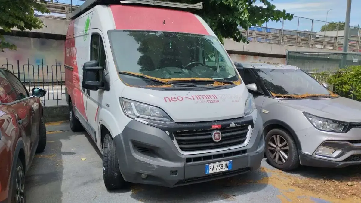 Usata Fiat Ducato 181 CV (133 kW) 2015 Furgone