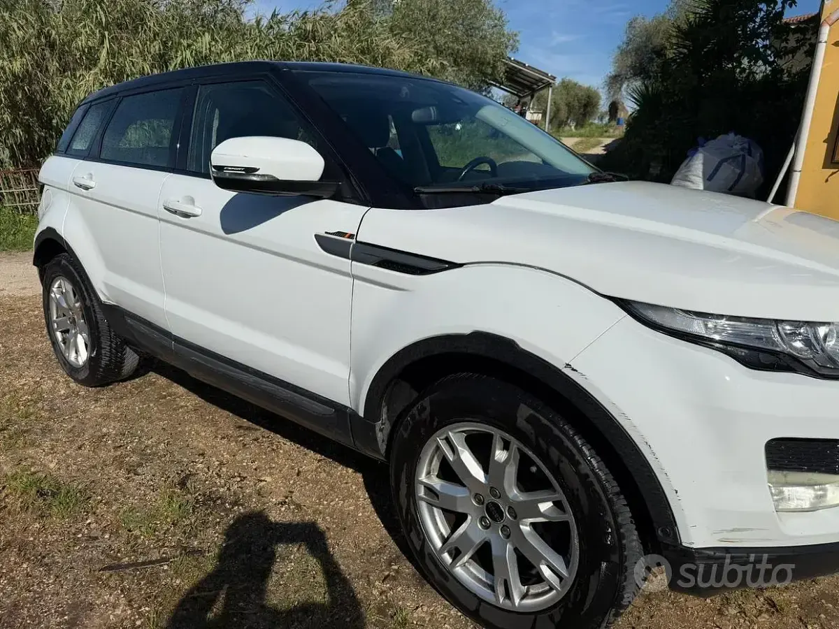 Usata Land Rover Range Rover evoque 150 CV (110 kW) 2012 Bianco SUV