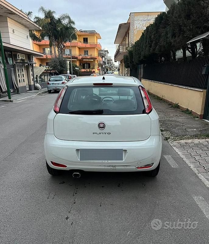 Usata Fiat Punto Evo 75 CV (55 kW) 2014 Bianco Utilitaria