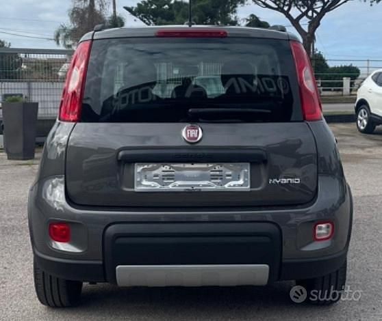 Usata Fiat Panda 71 CV (52 kW) 2024 Grigio Utilitaria