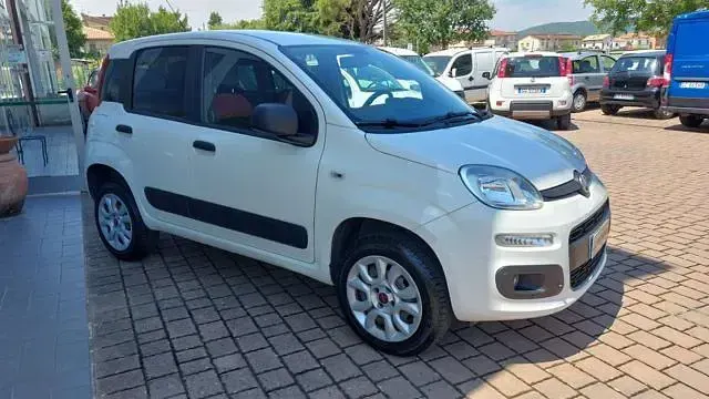 Usata Fiat Panda 4x4 Pop 84 CV (61 kW) 2019 Bianco Utilitaria