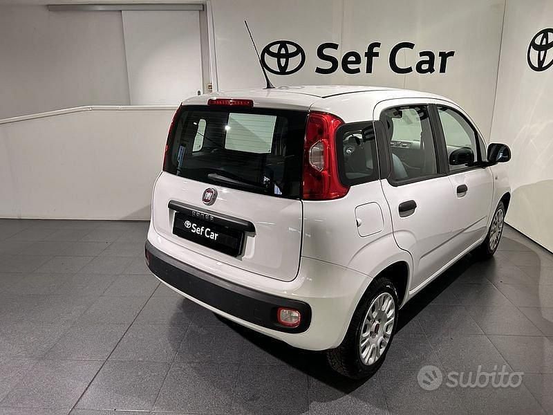 Usata Fiat Panda Easy 69 CV (50 kW) 2019 Bianco Berlina