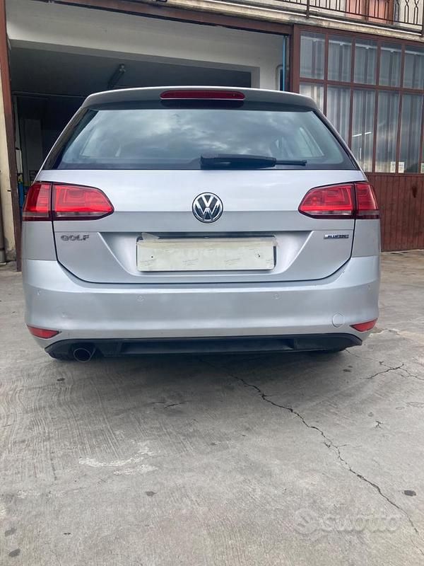 Usata VW Golf VII 2015 Grigio Station wagon