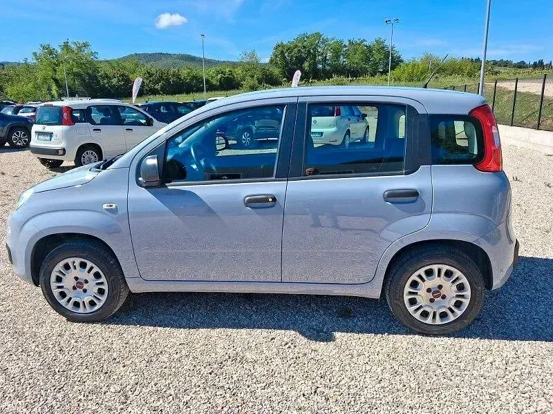 Usata Fiat Panda Easy 69 CV (50 kW) 2019 Gray Utilitaria