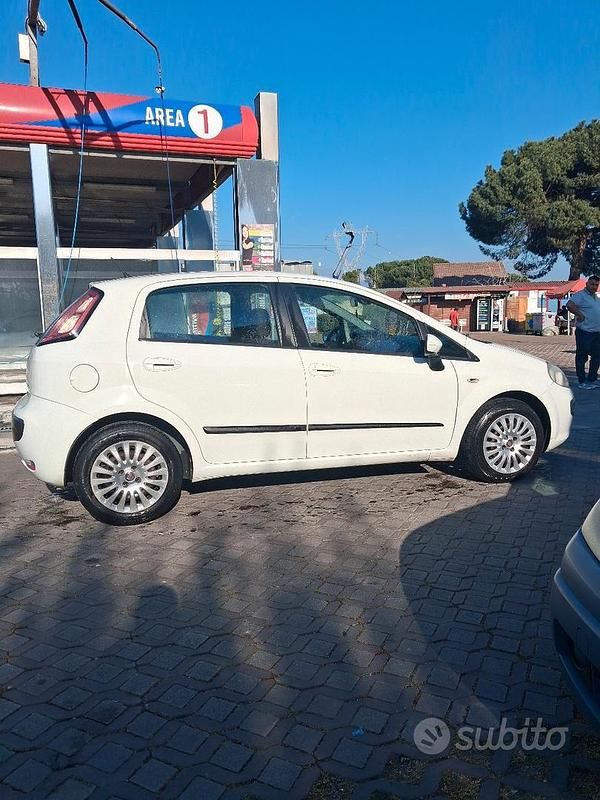 Usata Fiat Punto Evo 95 CV (69 kW) 2010 Bianco Utilitaria