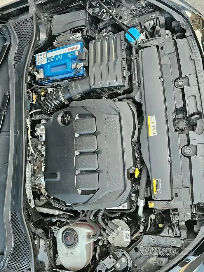 Usata Seat Leon 115 CV (84 kW) 2020 Berlina