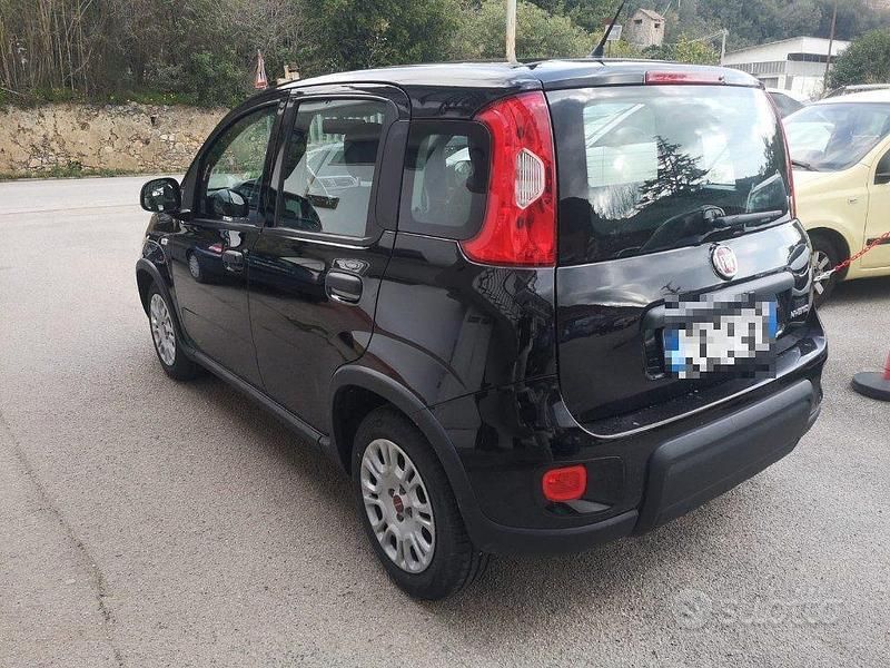 Usata Fiat Panda S 69 CV (50 kW) 2024 Nero Utilitaria