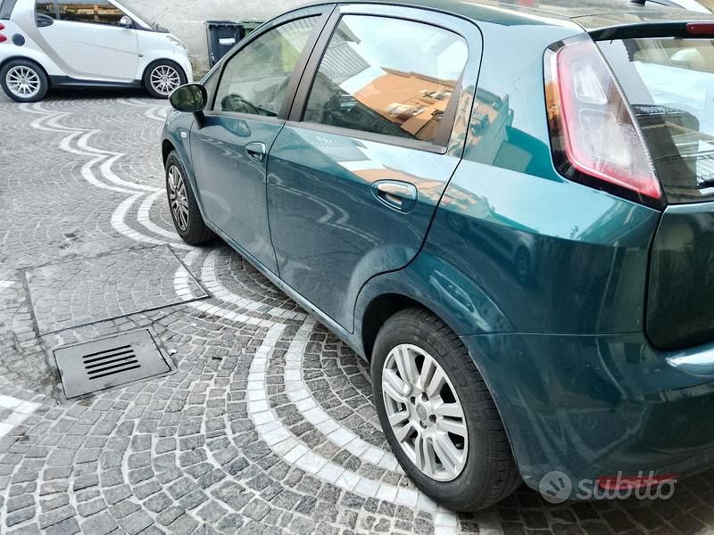 Usata Fiat Punto Evo 75 CV (55 kW) 2012 Verde Utilitaria