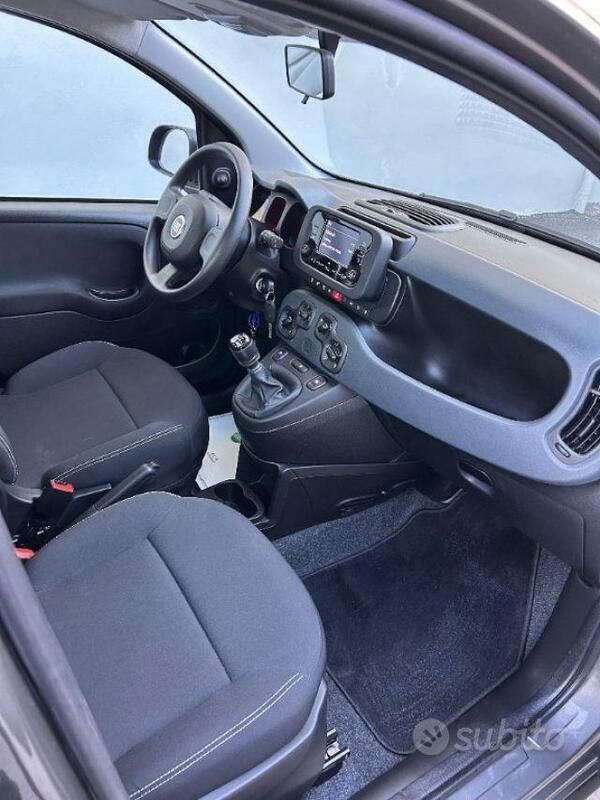 Usata Fiat Panda S 70 CV (51 kW) 2021 Grigio Utilitaria