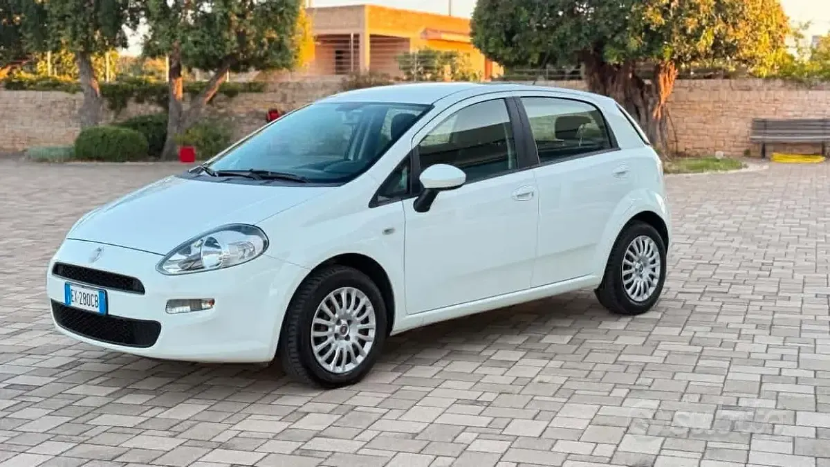 Usata Fiat Punto Street 75 CV (55 kW) 2014 Bianco Utilitaria