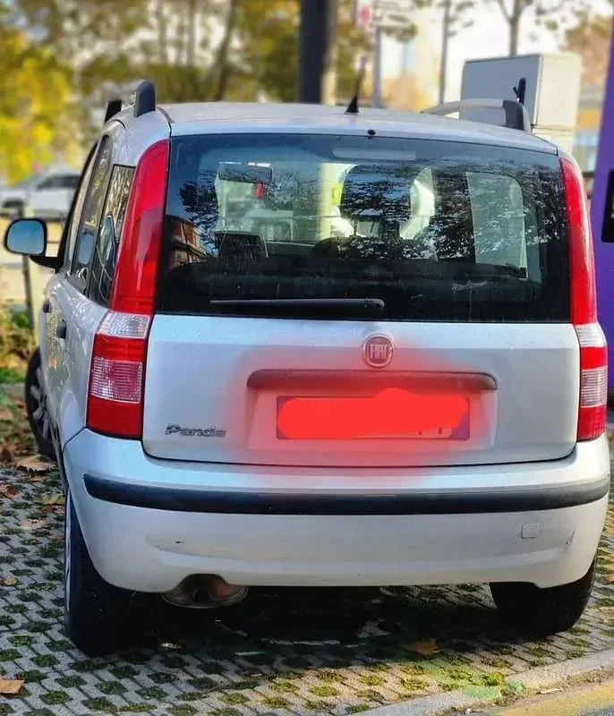 Usata Fiat Panda Dynamic 60 CV (44 kW) 2010 Argento Utilitaria