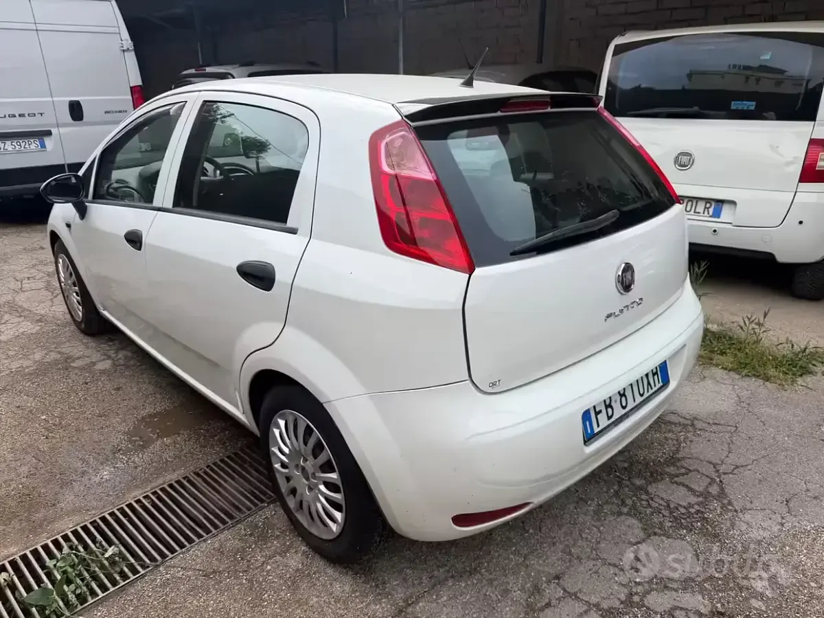 Usata Fiat Punto Lounge 69 CV (50 kW) 2015 Bianco Utilitaria