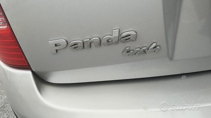 Usata Fiat Panda 4x4 Climbing 59 CV (43 kW) 2005 Grigio Utilitaria