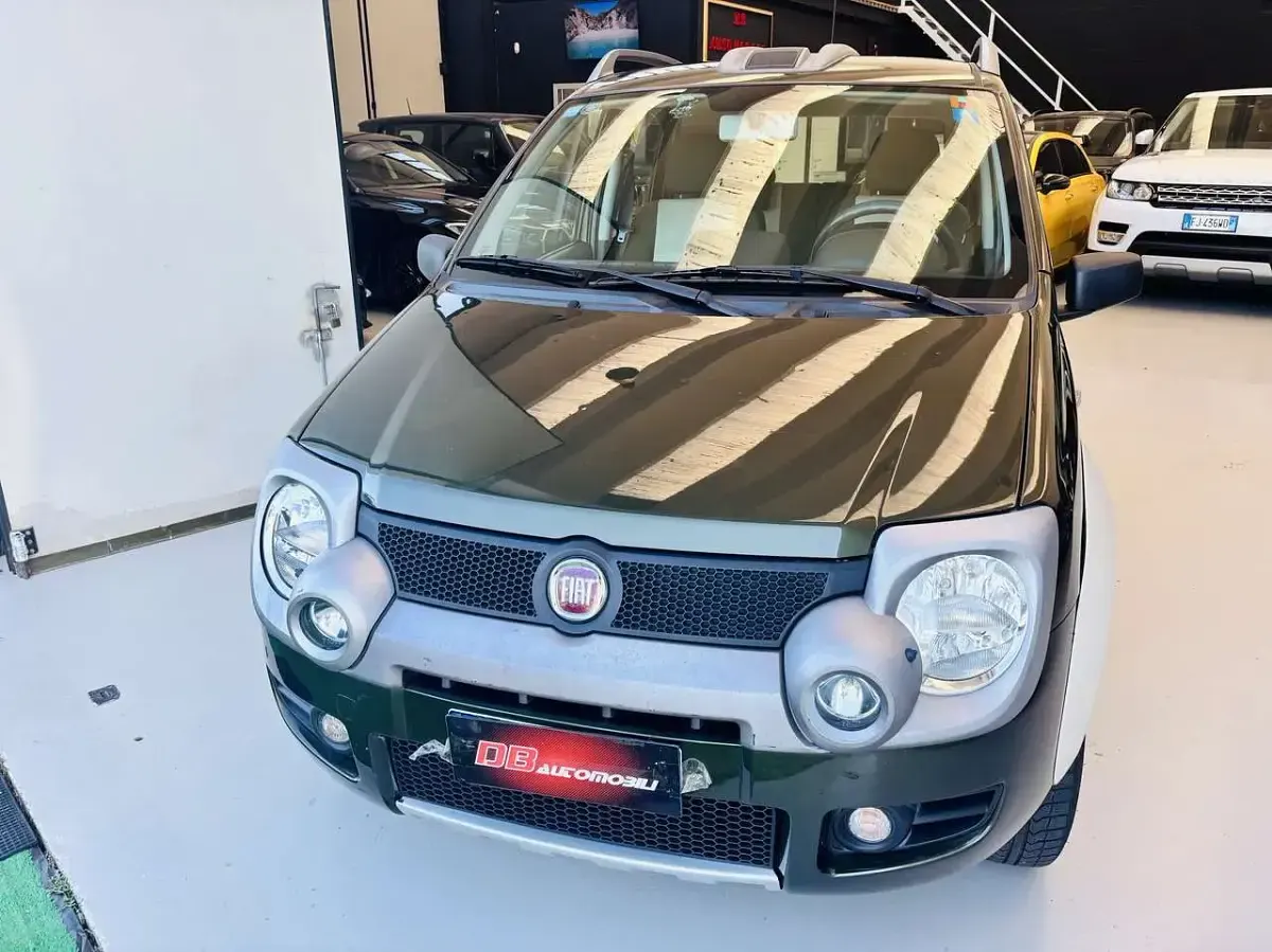 Usata Fiat Panda 4x4 Cross 69 CV (50 kW) 2008 Verde Utilitaria