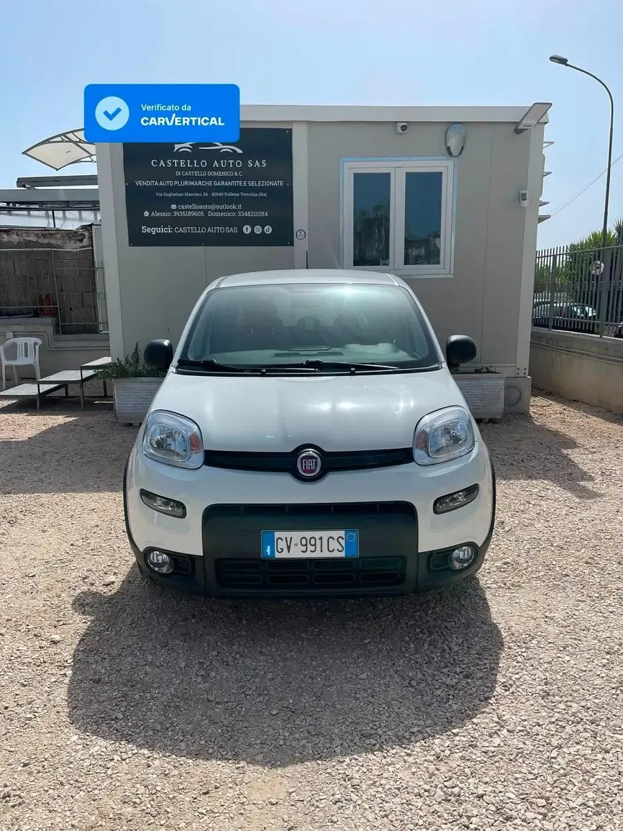 Usata Fiat Panda S 70 CV (51 kW) 2024 Bianco Utilitaria