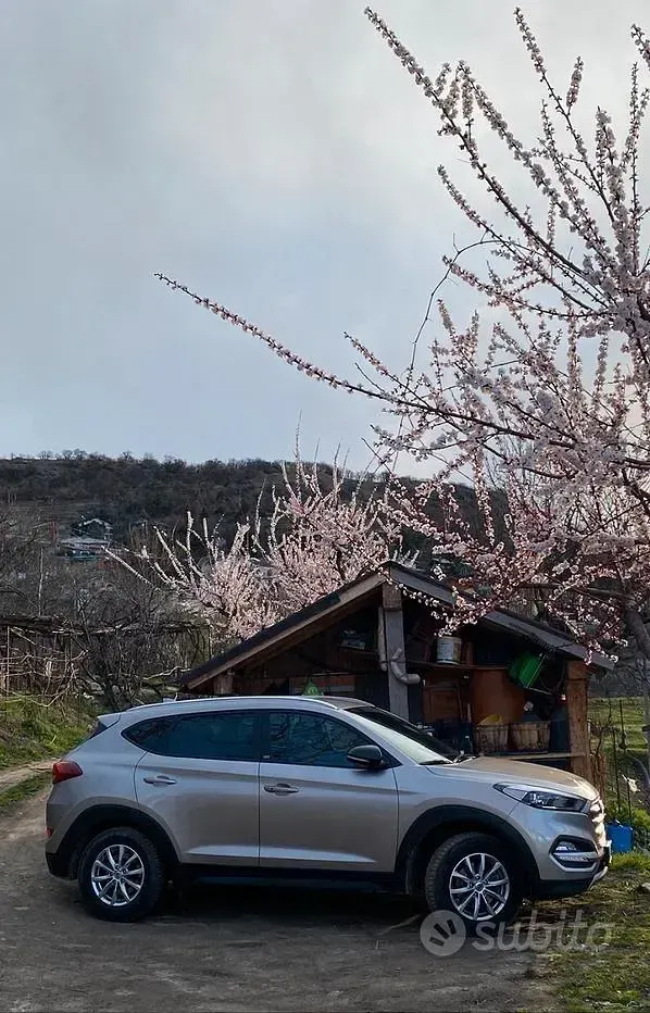 Usata Hyundai Tucson GO! 116 CV (85 kW) 2018 Grigio SUV