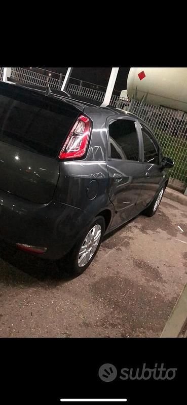 Usata Fiat Punto 95 CV (69 kW) 2013 Grigio Utilitaria