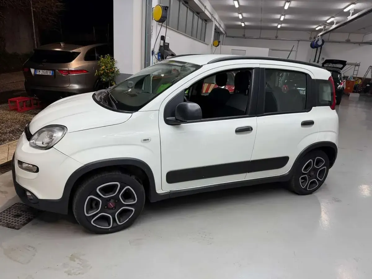 Usata Fiat Panda S 71 CV (52 kW) 2022 Bianco Utilitaria