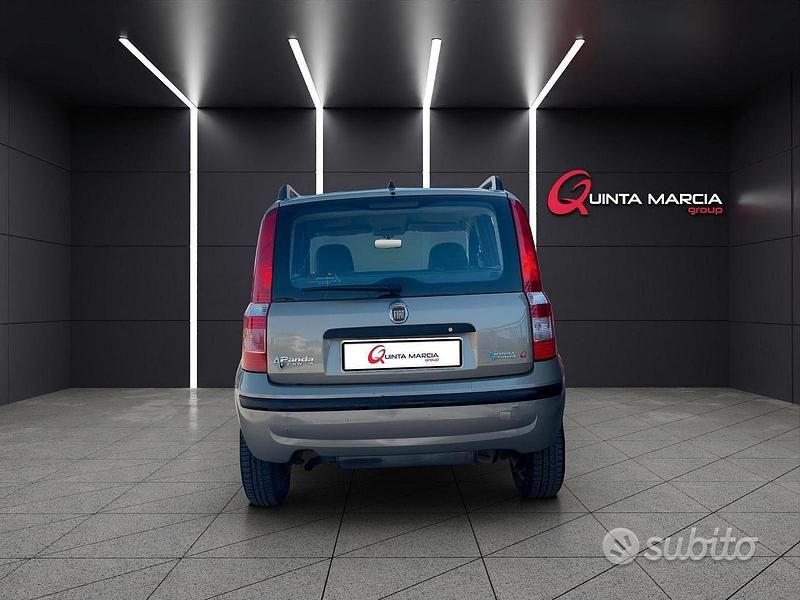 Usata Fiat Panda 60 CV (44 kW) 2008 Marrone Utilitaria