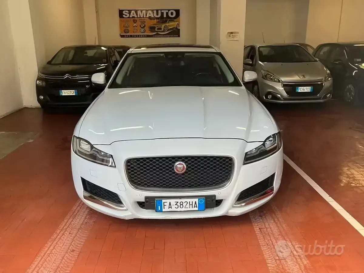 Usata Jaguar XF 300 CV (220 kW) 2015 Bianco Berlina