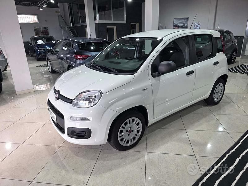 Usata Fiat Panda Pop 69 CV (50 kW) 2019 Bianco Berlina