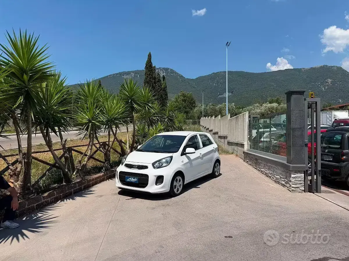Usata Kia Picanto Active 67 CV (49 kW) 2016 Utilitaria
