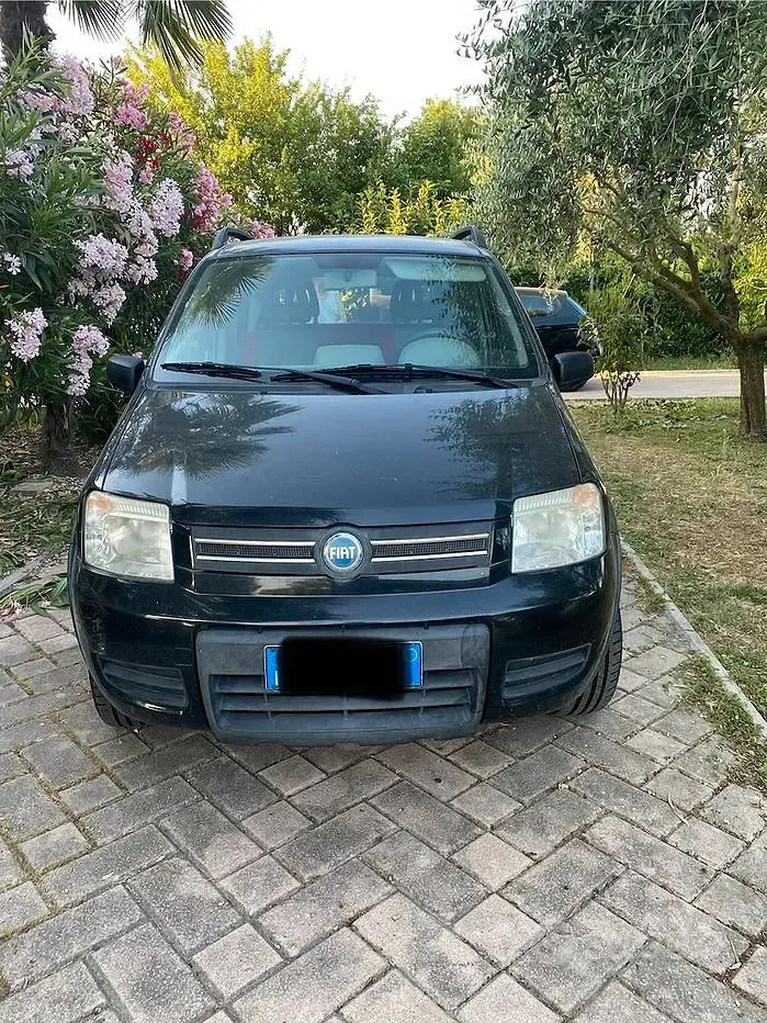 Usata Fiat Panda 4x4 60 CV (44 kW) 2009 Nero Utilitaria