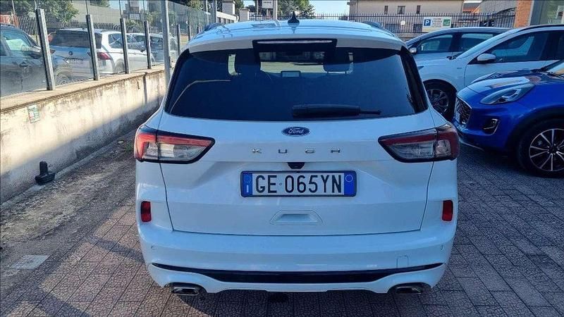 Usata Ford Kuga ST-Line 120 CV (88 kW) 2021 Frozen whi SUV