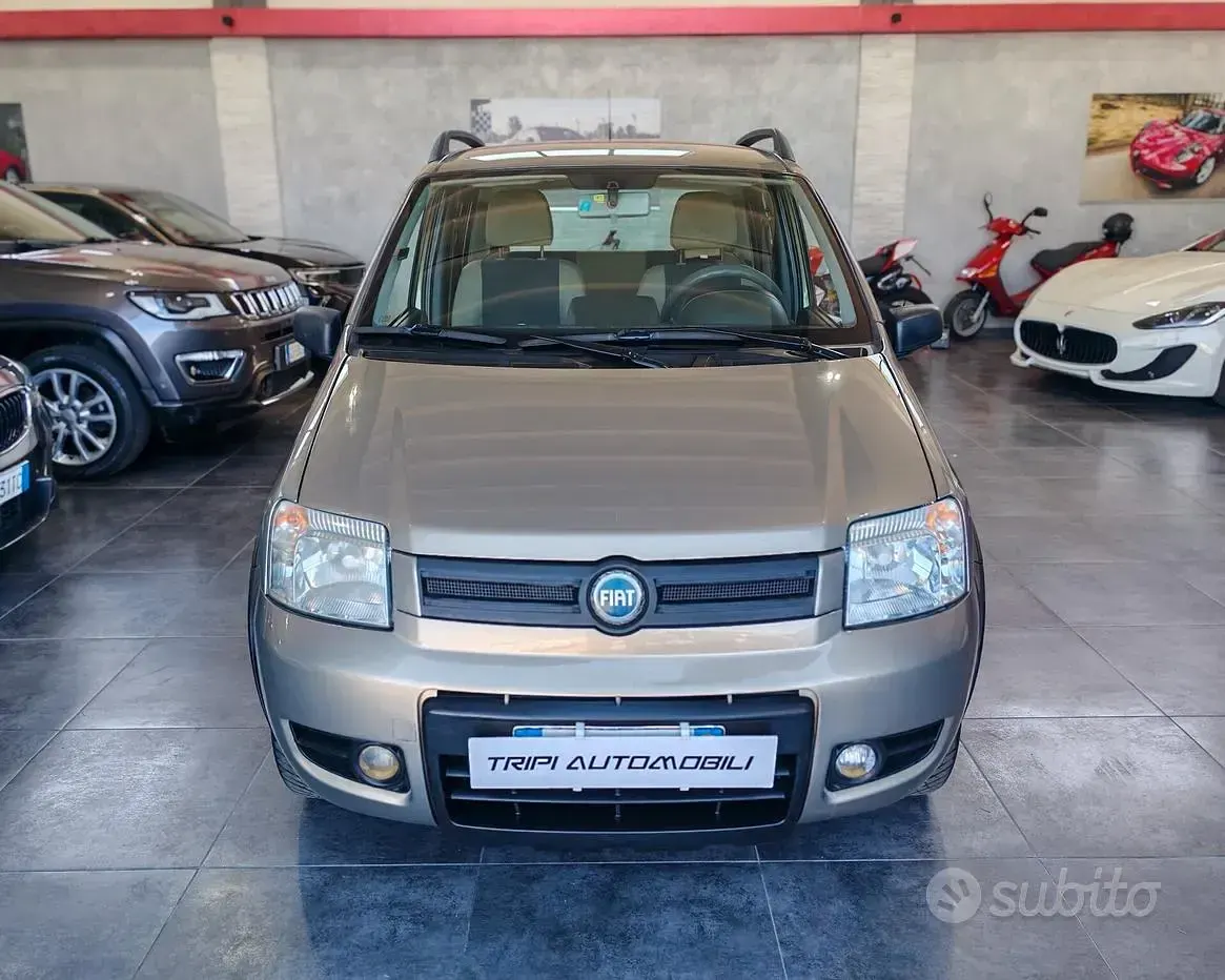 Usata Fiat Panda 4x4 Climbing 60 CV (44 kW) 2007 Beige Utilitaria