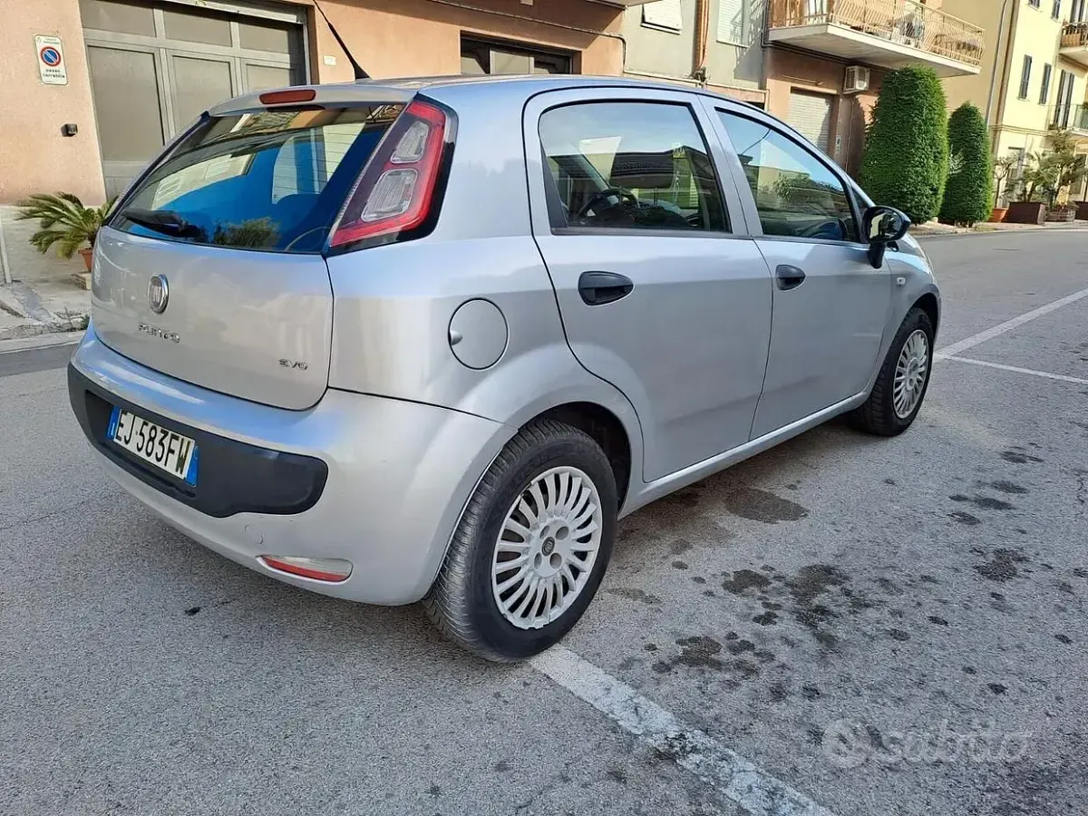 Usata Fiat Punto Evo Active 75 CV (55 kW) 2010 Grigio Utilitaria