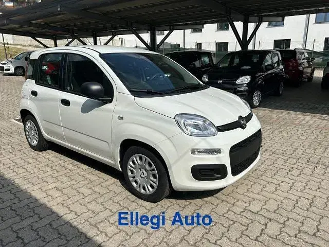 Nuova Fiat Panda Icon 69 CV (50 kW) 2026 Bianco Utilitaria