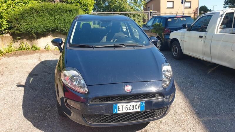 Usata Fiat Punto Lounge 69 CV (50 kW) 2014 Blu Utilitaria