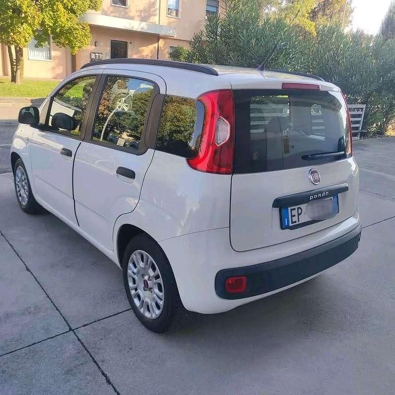 Usata Fiat Panda Active 69 CV (50 kW) 2012 Bianco Utilitaria