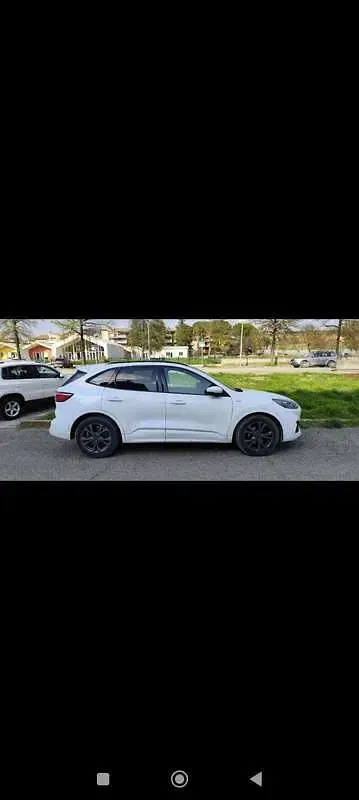 Usata Ford Kuga ST-Line 120 CV (88 kW) 2021 SUV