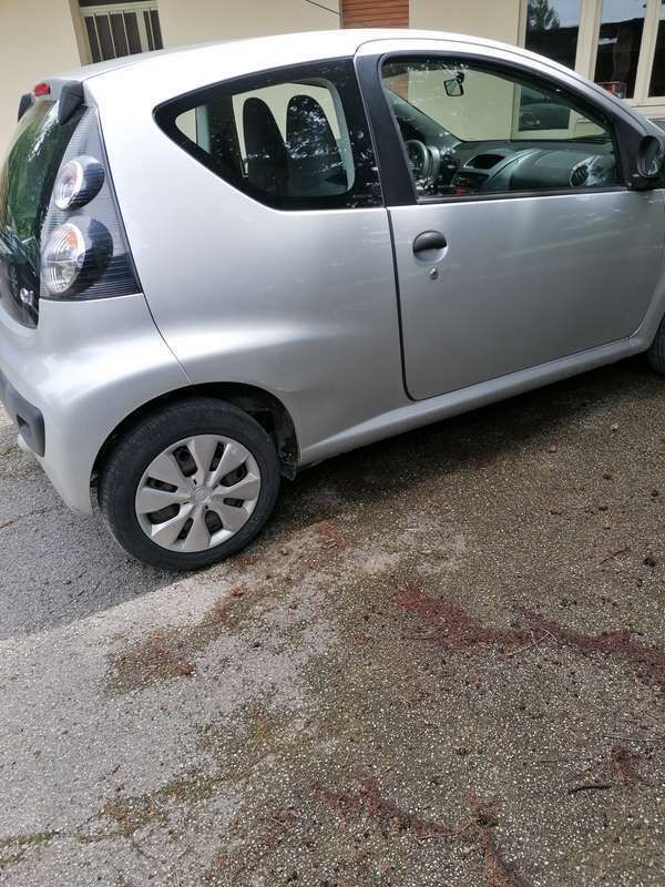 Argento Usata 2011 Citroën C1 Seduction Due volumi | 3700 € (Ottimo prezzo) - Immagine 1/3