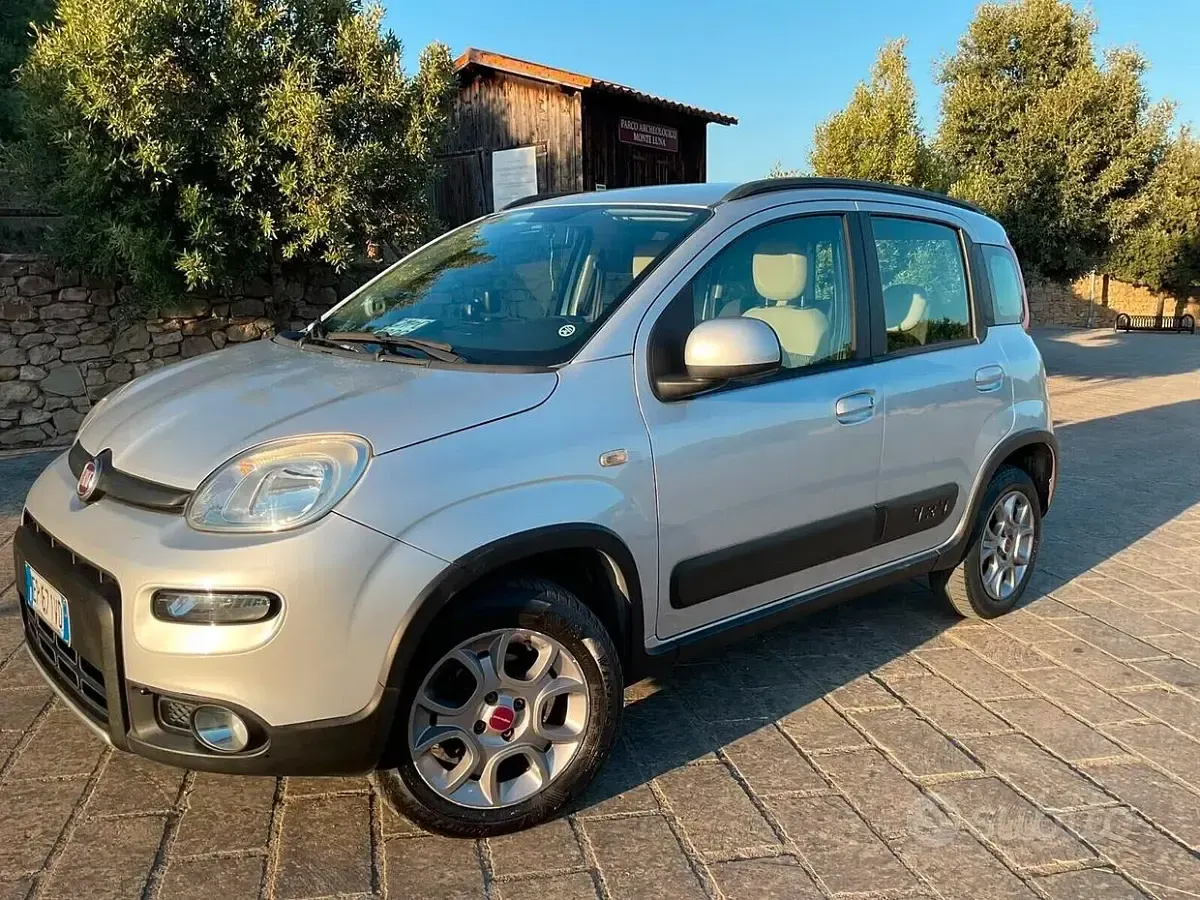 Usata Fiat Panda 4x4 S 75 CV (55 kW) 2013 Grigio Utilitaria
