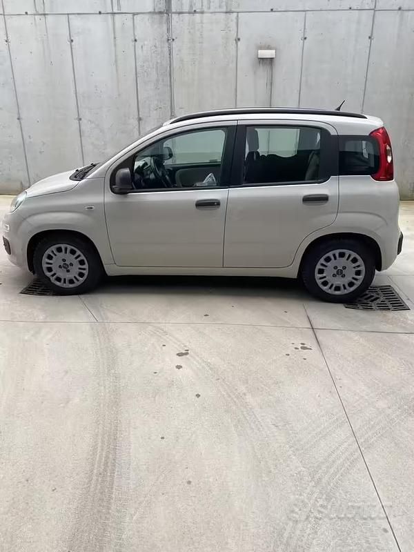 Usata Fiat Panda 95 CV (69 kW) 2016 Utilitaria