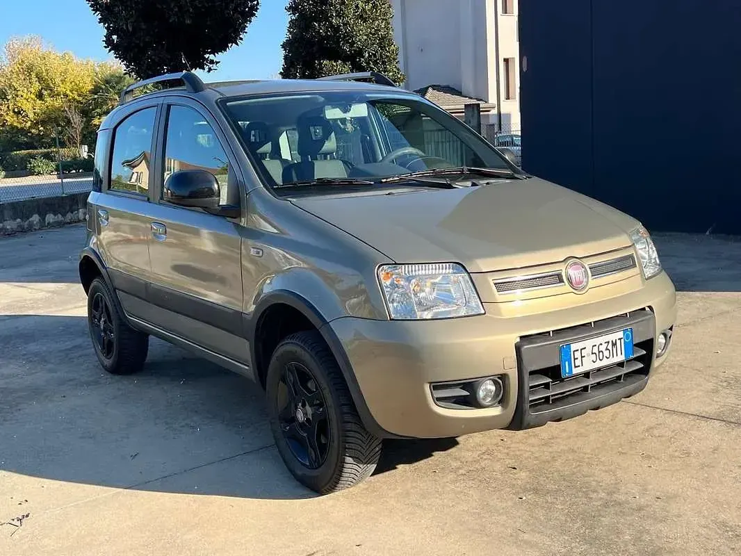 Usata Fiat Panda 4x4 Climbing 69 CV (50 kW) 2010 Utilitaria