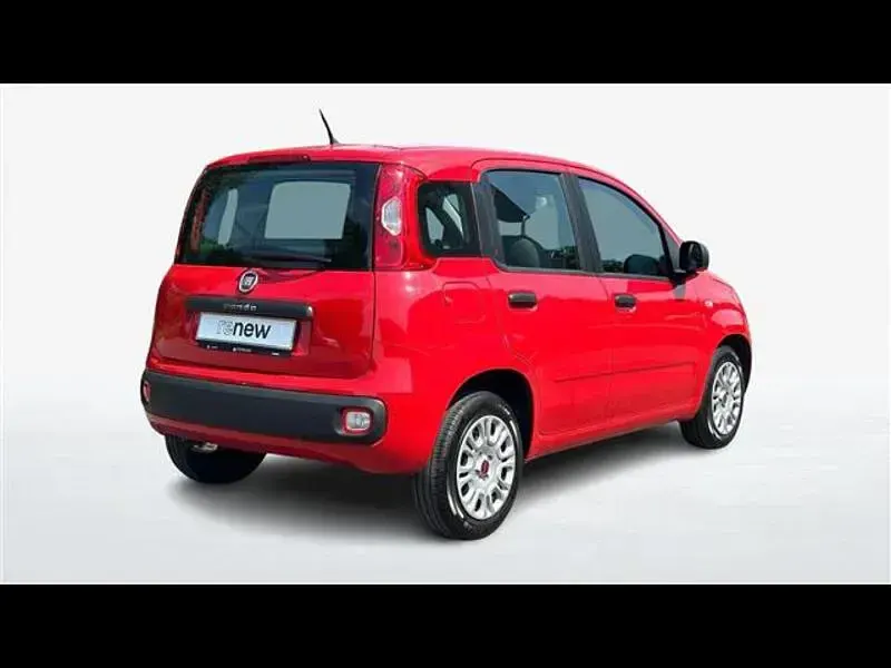 Usata Fiat Panda Easy 69 CV (50 kW) 2019 Rosso Utilitaria